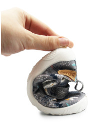 Kapcie Dziecięce Do Szkoły i Przedszkola Trampki BAREFOOT DD STEP C086-52562BV Grey